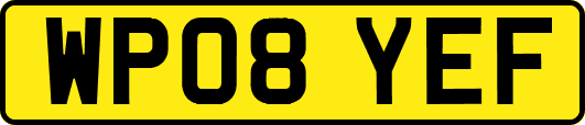 WP08YEF