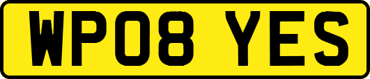 WP08YES