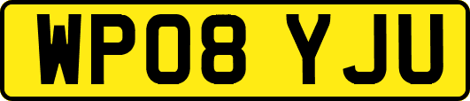 WP08YJU