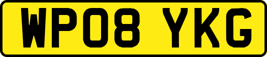 WP08YKG