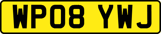 WP08YWJ
