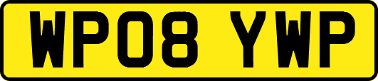 WP08YWP