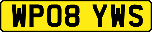 WP08YWS