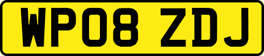 WP08ZDJ