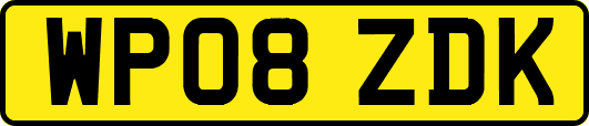 WP08ZDK