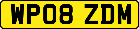 WP08ZDM