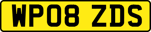 WP08ZDS