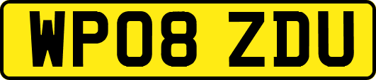WP08ZDU