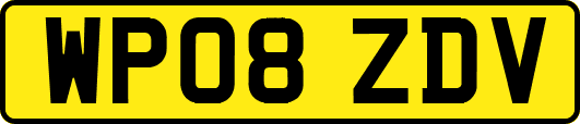 WP08ZDV