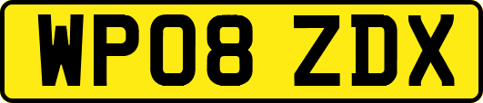 WP08ZDX