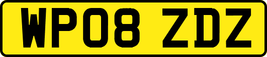 WP08ZDZ