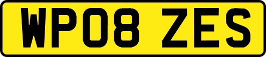 WP08ZES