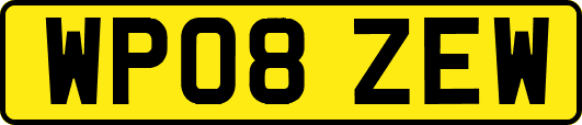 WP08ZEW