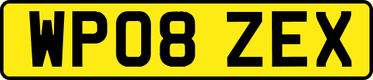 WP08ZEX