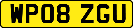 WP08ZGU