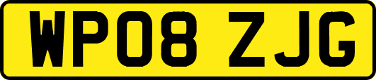 WP08ZJG