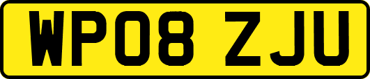 WP08ZJU