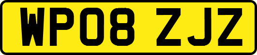 WP08ZJZ