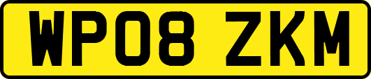 WP08ZKM