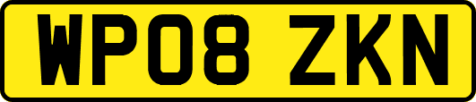 WP08ZKN