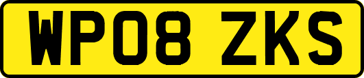 WP08ZKS