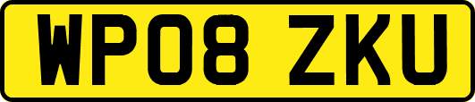 WP08ZKU