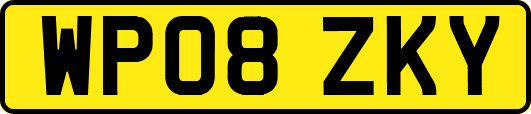 WP08ZKY