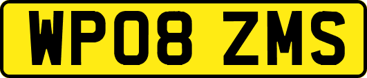 WP08ZMS
