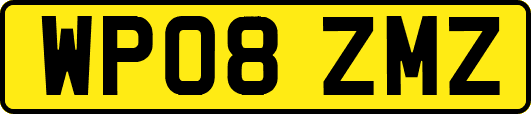 WP08ZMZ