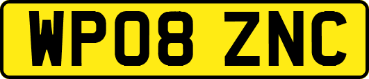 WP08ZNC