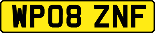 WP08ZNF