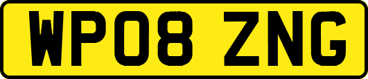 WP08ZNG