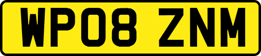 WP08ZNM
