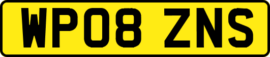 WP08ZNS