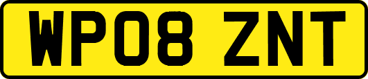 WP08ZNT