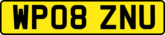 WP08ZNU