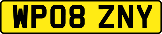 WP08ZNY