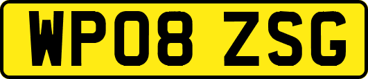 WP08ZSG