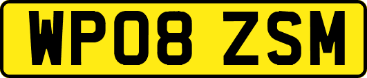 WP08ZSM