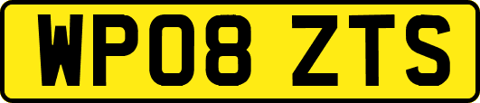 WP08ZTS
