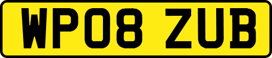 WP08ZUB