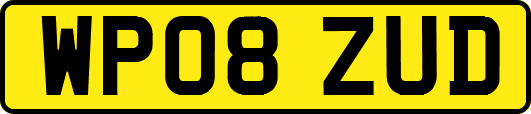 WP08ZUD