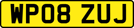 WP08ZUJ