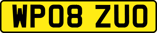 WP08ZUO