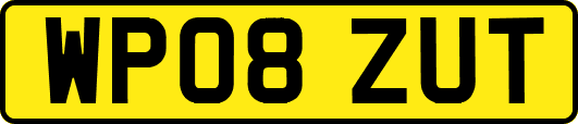 WP08ZUT
