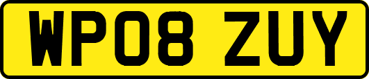 WP08ZUY