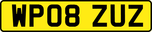 WP08ZUZ