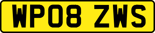 WP08ZWS
