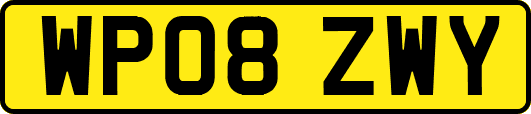 WP08ZWY