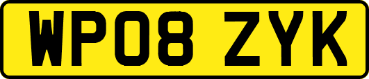 WP08ZYK